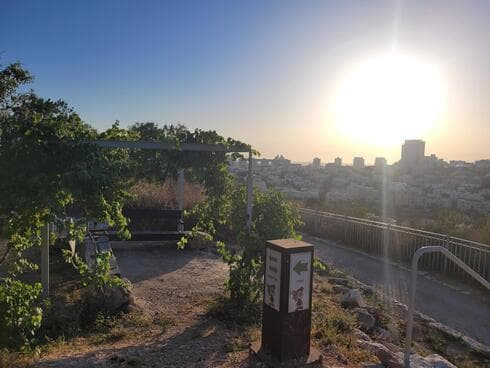 השקיעה בתיתורה