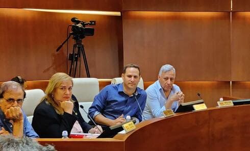 ההחלטה התקבלה במועצה