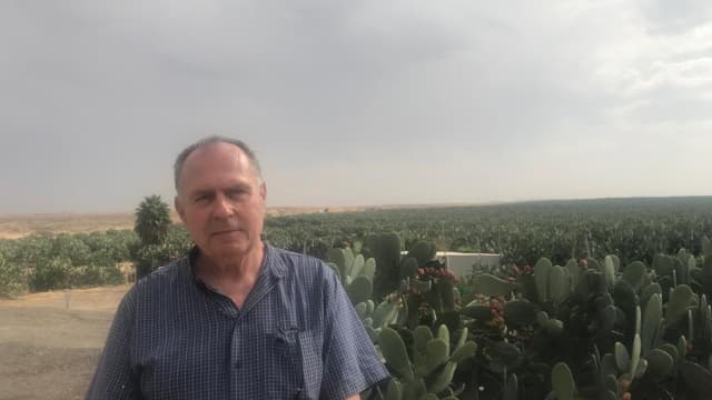 נועם בלום, "מלך הצבר"