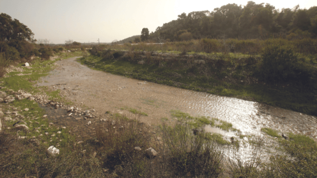 נחל תנינים. מים וטבע עשיר