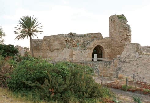 קיסריה. מותאם לימי חום