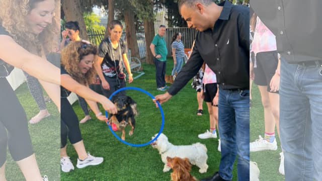 חנוכת גינת הכלבים