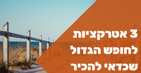 בריל דיגיטל