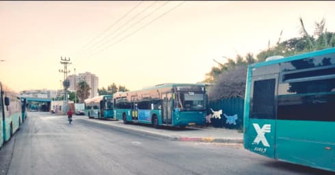 אוטובוסים מחוץ למתחם. לא פעם ראשונה 