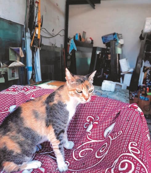 הכי כיף במיטת תינוק. מחסן זכוכית