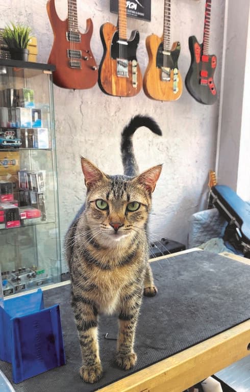 תנו לו רוקנרול. רוברט בסדנה לתיקון גיטרות