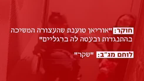 מתוך תמלילי החקירה