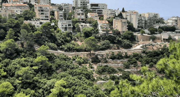 הבנייה תתחדש. שכונת כרמליה (צילום: ליאור אפט) מאיפה יירדו הכבישים? כרמליה