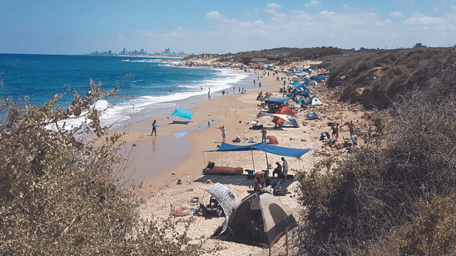 חוף פלמחים