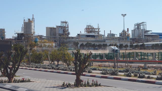 נאות חובב 