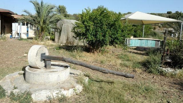חוקרים את הטבע."חווה ואדם"
