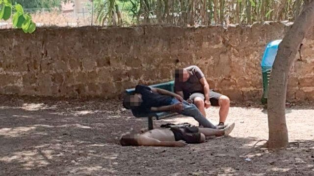 מעולפים על ספסל בשכונה מעולפים על ספסל בשכונה