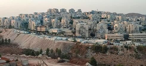 "חיסול ממוקד של הטבע". הר העפר על גדת הנחל והמבנים שהוצבו עליו (צילום: יהונתן מירב, החברה להגנת הטבע) "חיסול ממוקד של הטבע". הר העפר על גדת הנחל והמבנים שהוצבו עליו