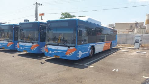 12 קוים נוספו. אוטובוסי חברת אקסטרה