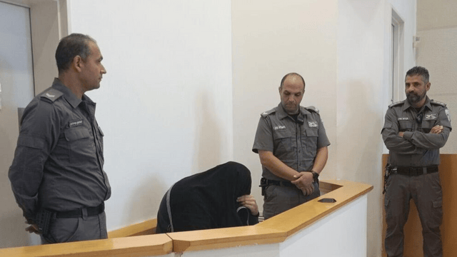 מיכאילוב בבית המשפט