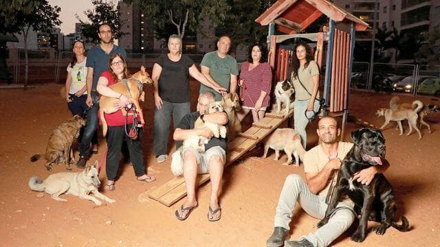 תושבי שכונת המדע עם הכלבים השבוע. "הגינה הכרחית"