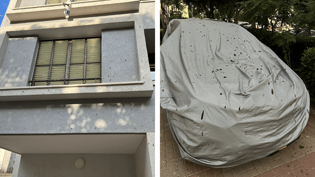 צואת העטלפים על המכוניות ועל הבניינים