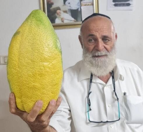 שדיאור אברהמי עם האתרוג הענק שדיאור אברהמי עם האתרוג הענק