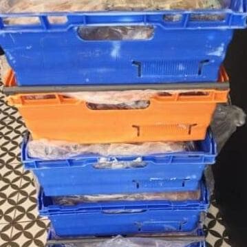 300 ק"ג בשר שהועבר להשמדה (צילום: דוברות המשטרה) 300 ק"ג בשר שהועבר להשמדה