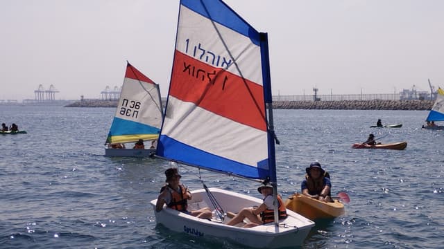 צופי ים בפעילות