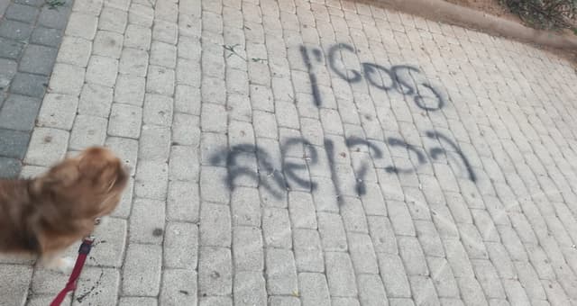 פלסטין הכבושה באמצע ראשון לציון