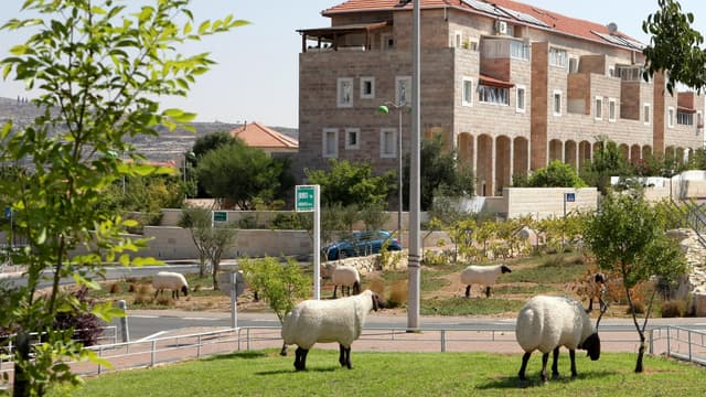 מבשרת ציון