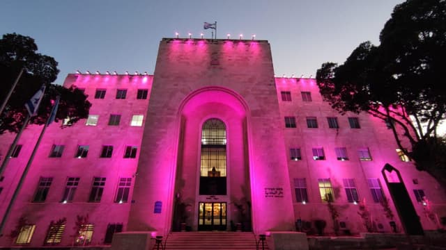 עיריית חיפה נצבעה ורוד