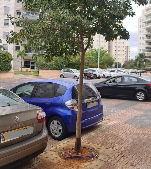 החומר הדביק על המכוניות