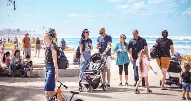 צילום, סדנאות ואומנות