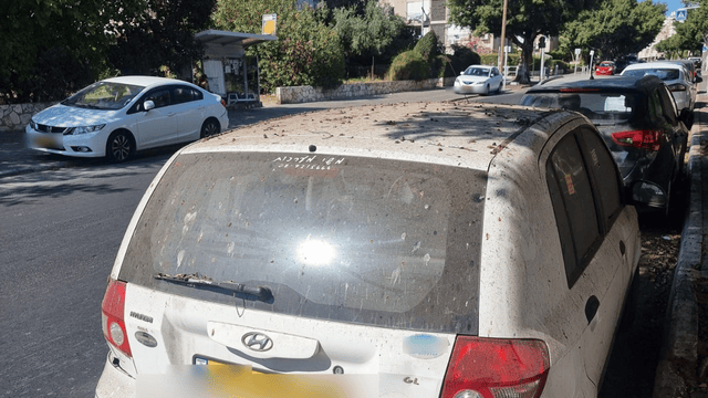 הכנימה שהגיעה לבת ים
