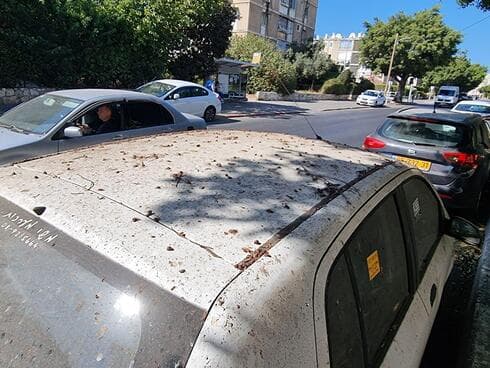הכנימה שהגיעה לבת ים