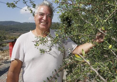 שמוליק אילוז הקים את מטע עצי הארגן הראשון בצפון 