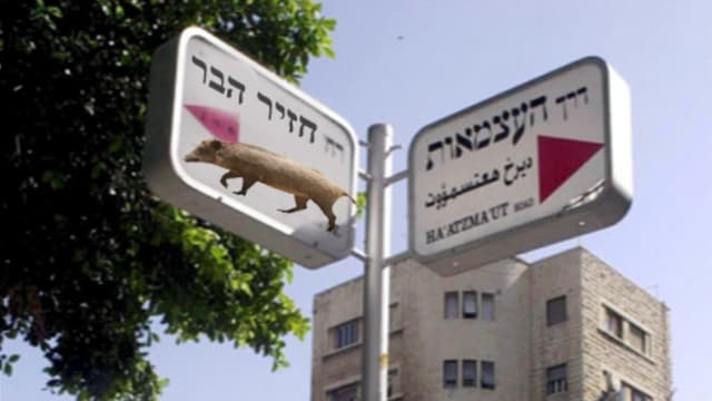 רחוב על שם "חזי" חזיר הבר?