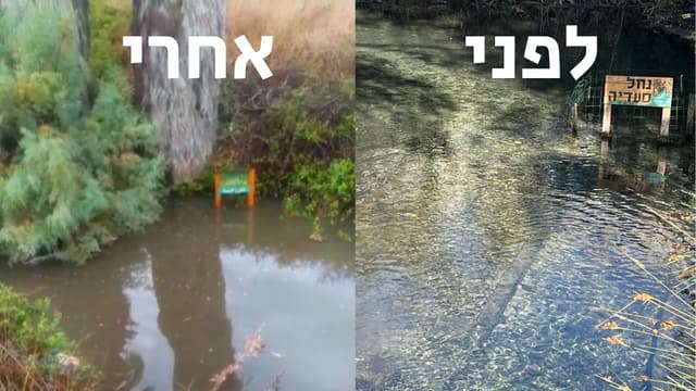 הנחל צלול לפני הגשם ושמנים בנחל סעדיה מיד אחרי הגשם