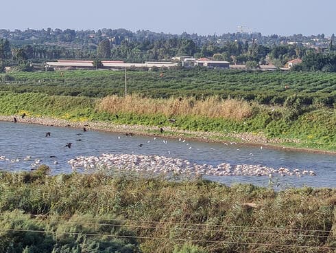 אחד האזורים הפסטורלים בחדרה