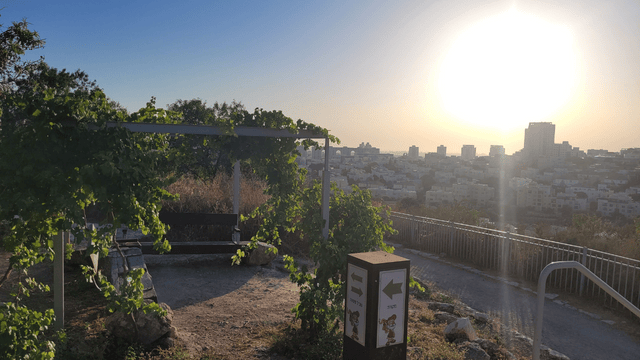 לבוא עם מעיל ותרמוס חם. תצפית בתיתורה