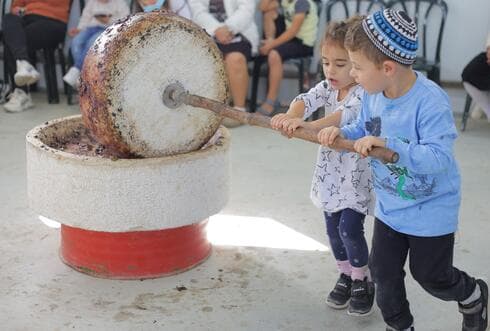 פסטיבל שמן הזית בצפון הנגב