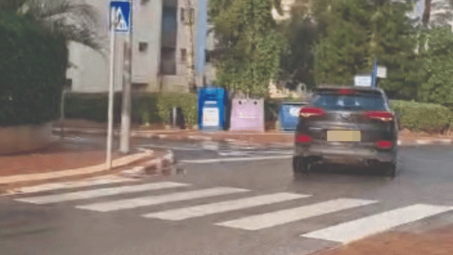 רחוב מוטה גור בבוקר
