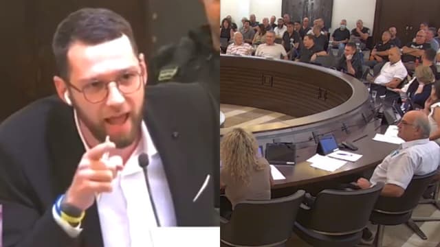 קארטניק והמועצה