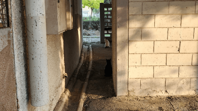 מתחם ההגנה יואב. הדיירים מקבלים צווים במקום אישור בנייה (צילום: פרטי) מתחם ההגנה יואב. מוזנח ומשווע להתחדשות