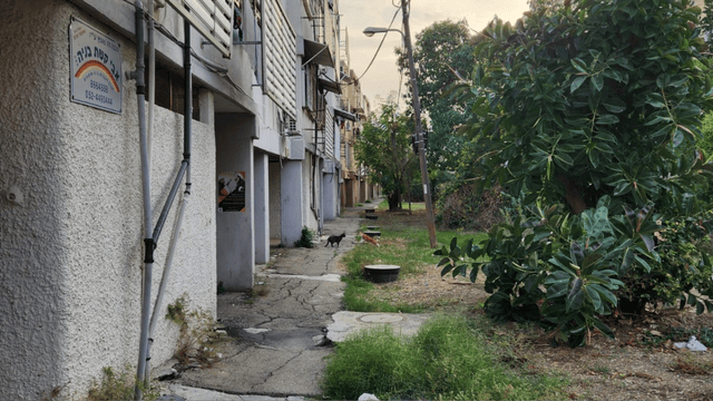 מתחם ההגנה יואב. מוזנח ומשווע להתחדשות (צילום: פרטי) מתחם ההגנה יואב. מוזנח ומשווע להתחדשות