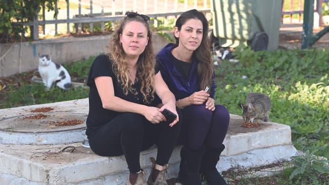 ורד ברוך ועדי יעקובובסקי. "בעיית החתולים הפכה לקטסטרופה"