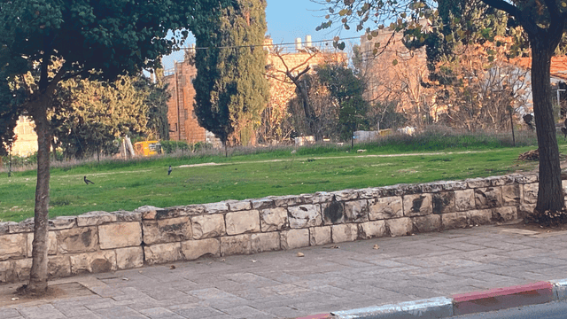 הגינה בה התגלה האסבסט הגינה בה התגלה האסבסט
