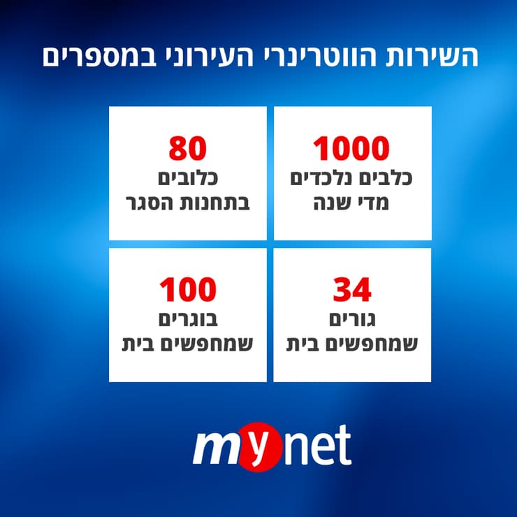 השירות הווטרינרי העירוני במספרים