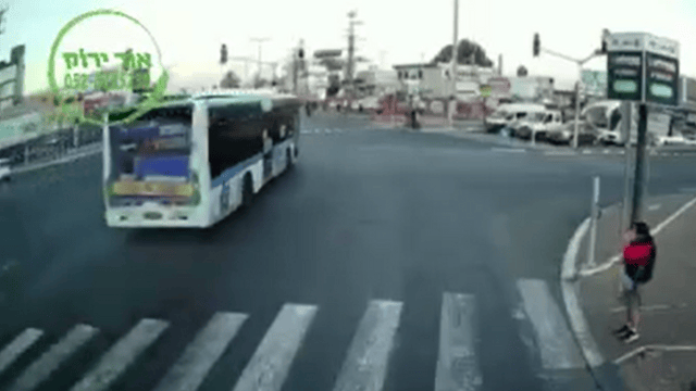 נהג אפיקים חוצה באור אדום בצומת סגולה