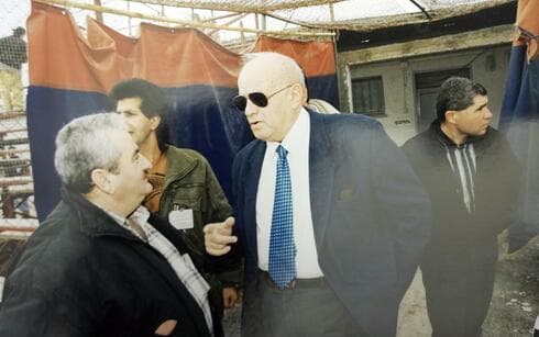 אלכס גילדין