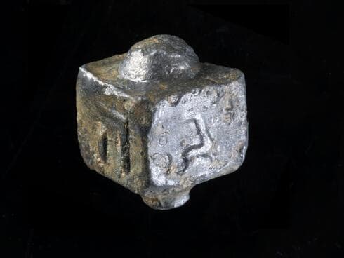 הערכות שהגיע על ידי מגורשי יפו (צילום: שחר קריספין ודפנה גזית, רשות העתיקות) הערכות שהגיע על ידי מגורשי יפו