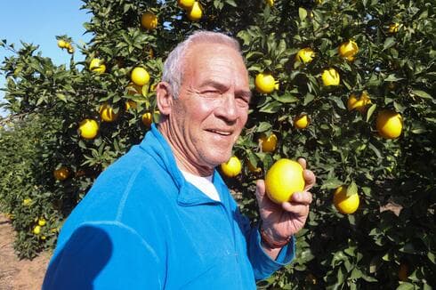 מומי רביב. "הפרדס שלי הוא סמל לכך שלא הכל אבוד" 