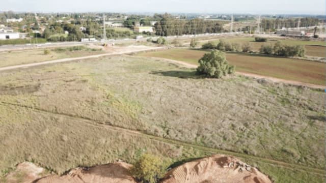 מתחם הבננה נתניה