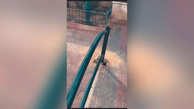 הגדר המסוכנת הגדר המסוכנת